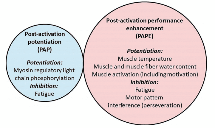 How to Enhance Performance with PAP and Complex Training Methods