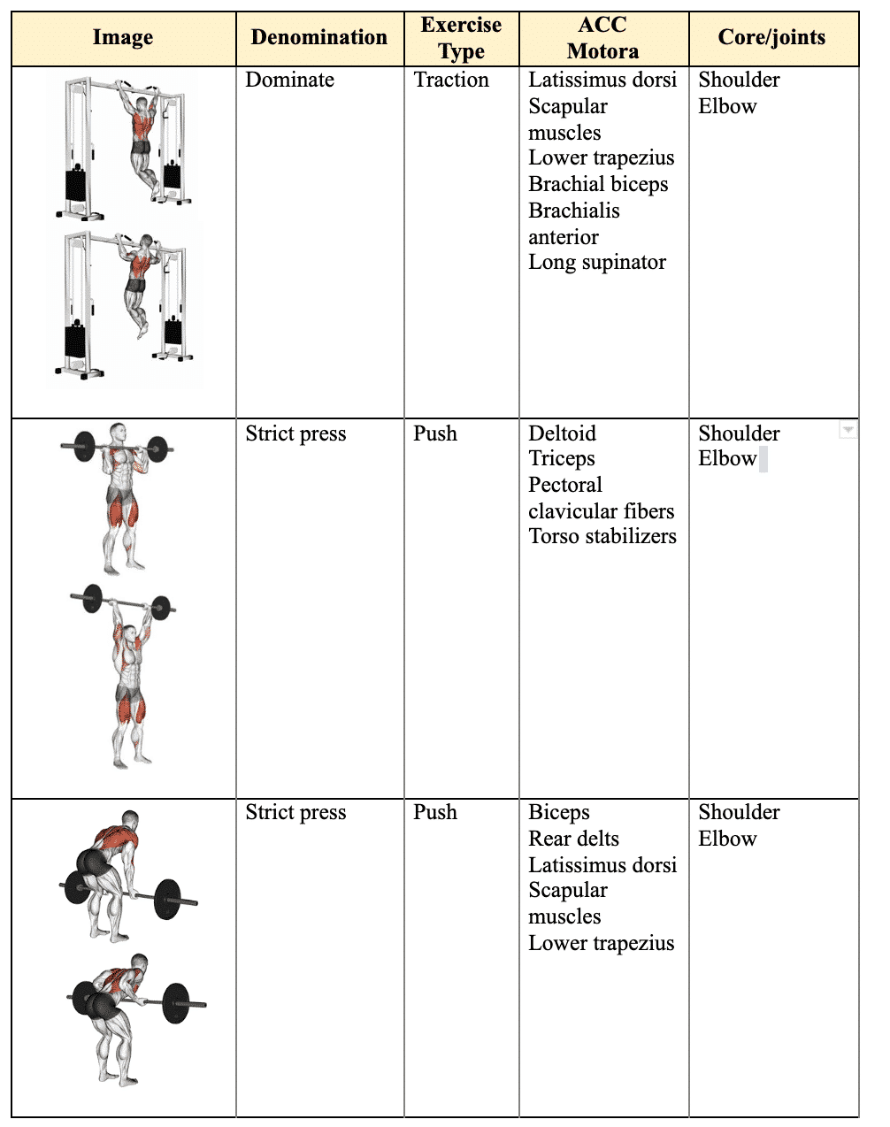 5-exercises-to-increase-muscle-size