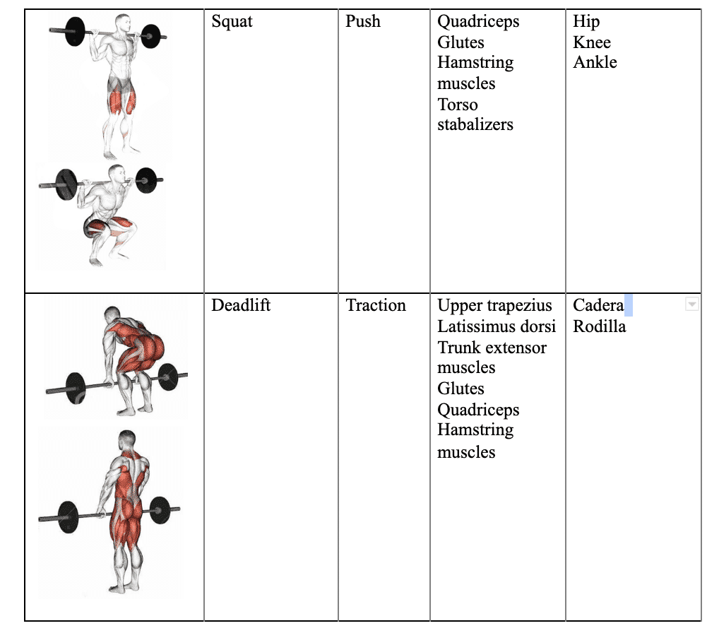 5-exercises-to-increase-muscle-size