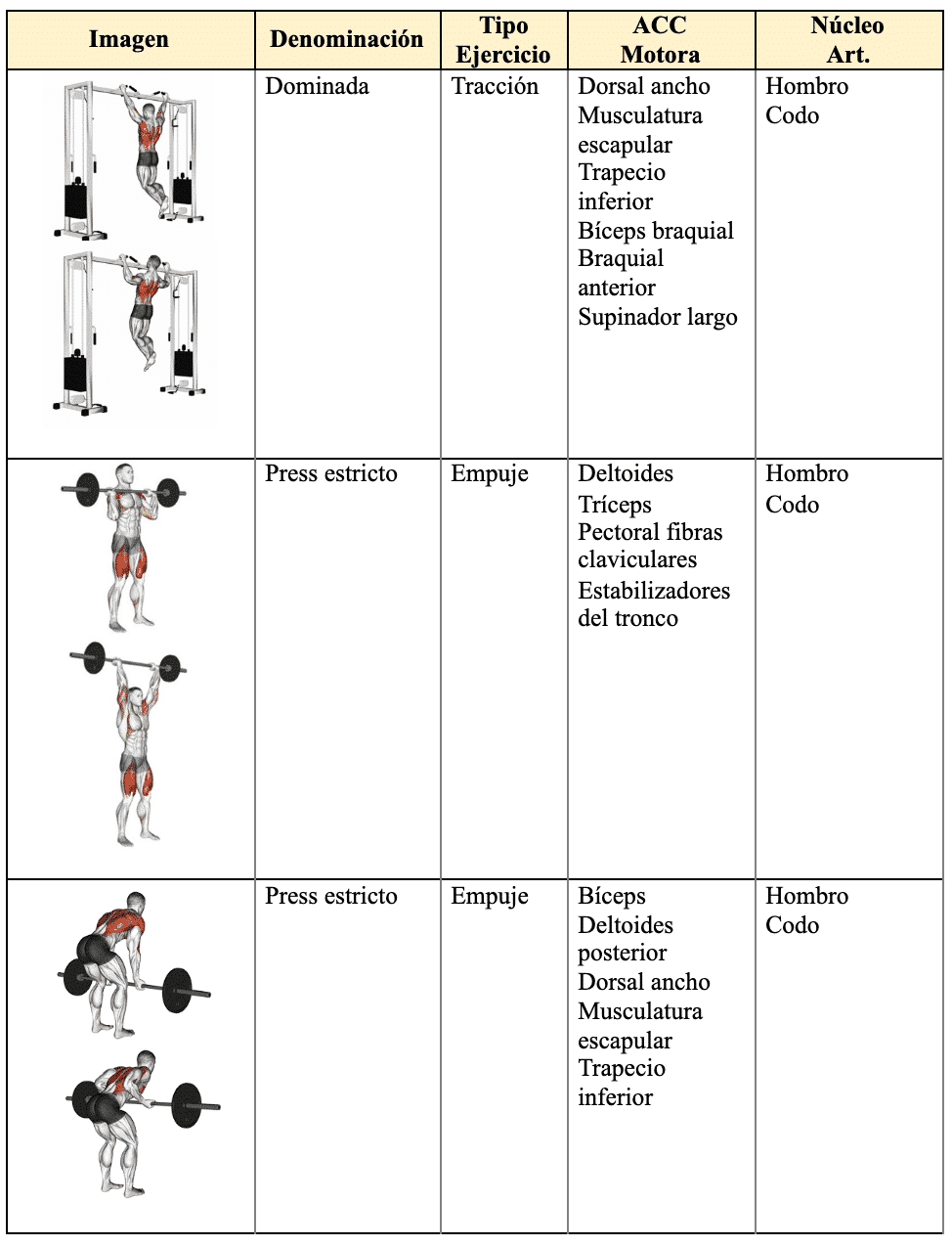 5-ejercicios-para-aumentar-el-tamano-muscular