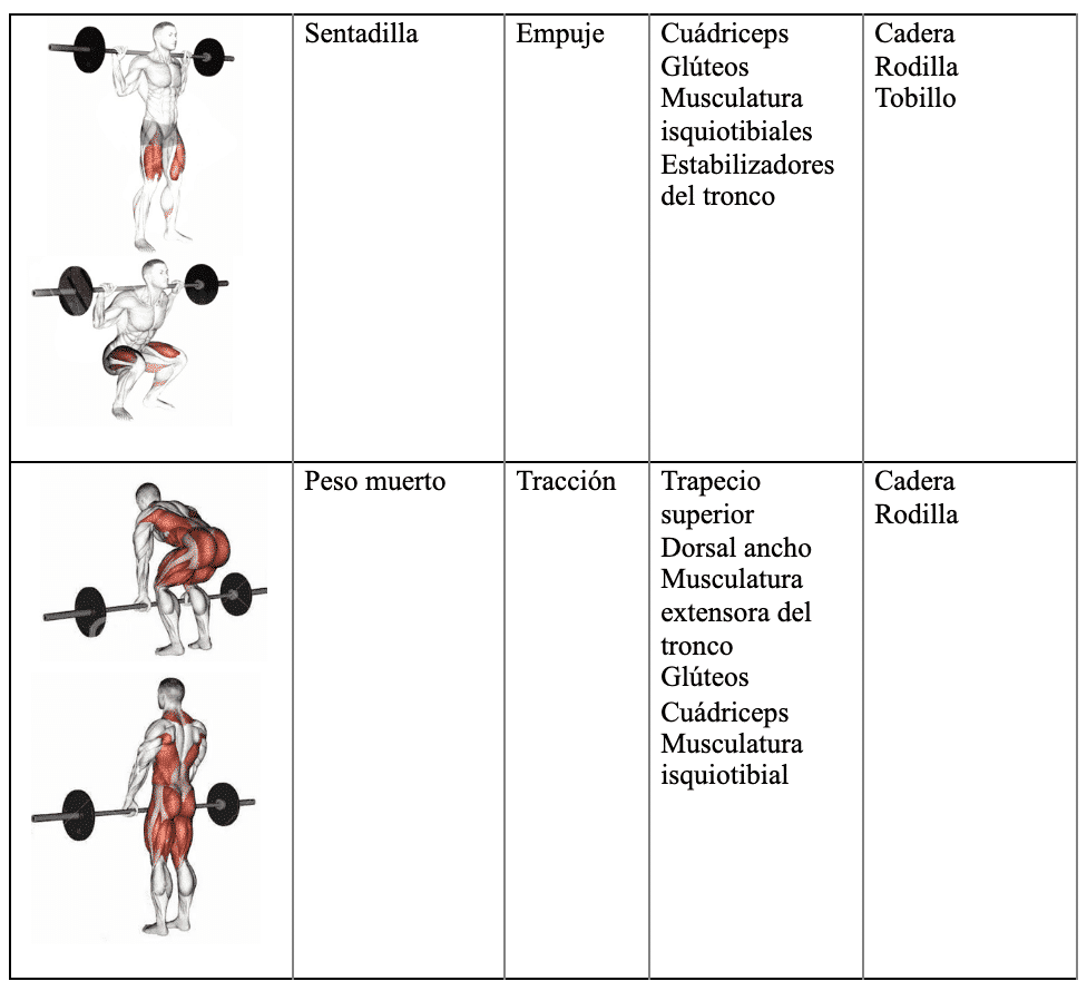 5-ejercicios-para-aumentar-el-tamano-muscular