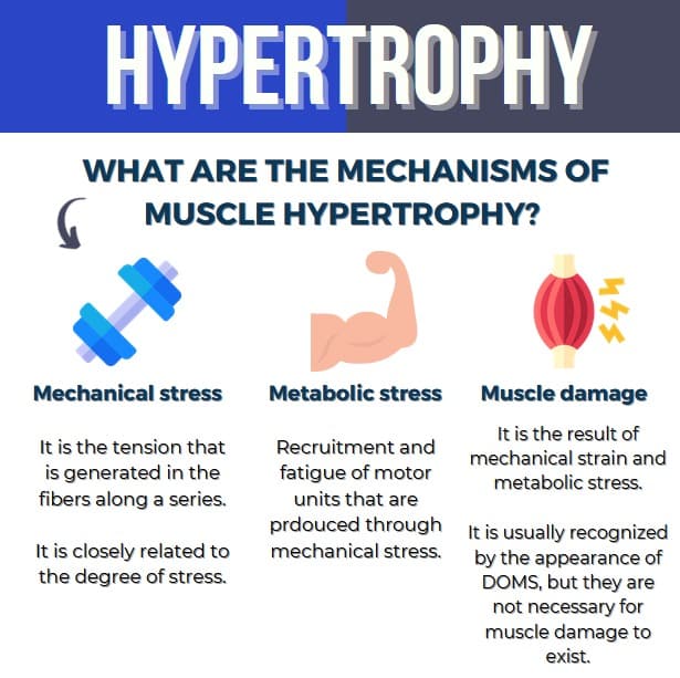 how-to-train-to-gain-muscle-mass