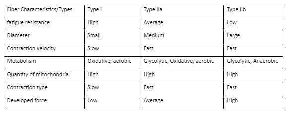 TYPES OF STRENGTH AND HOW TO TRAIN EACH OF THEM