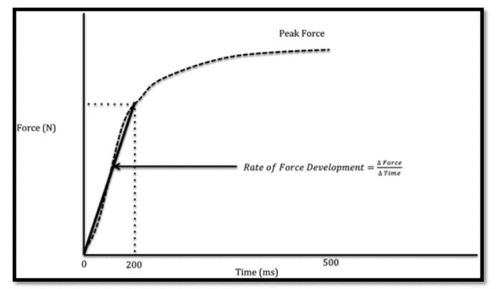 How to improve vertical jump in basketball players using the VBT