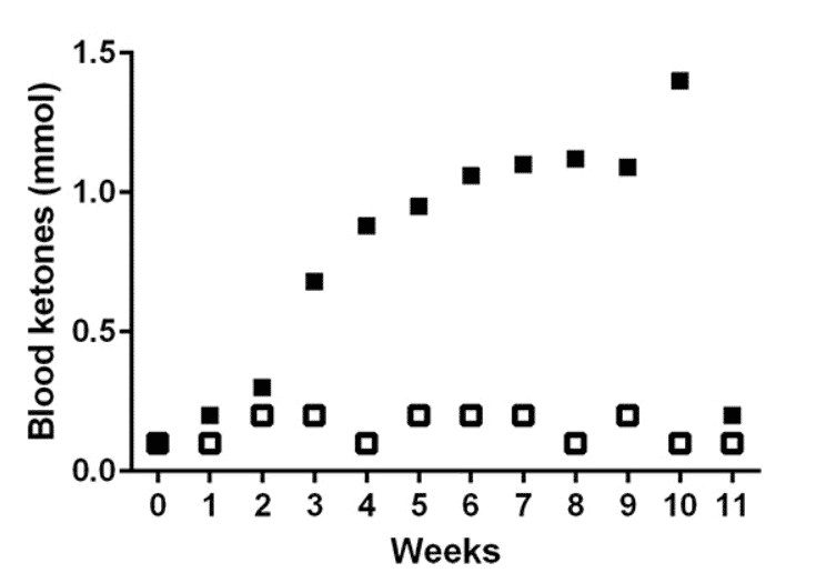 The efficacy of the low CHO ketogenic diet