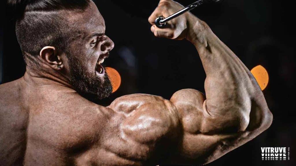 Discovering Whether Training to Failure Is Necessary for Muscle Growth