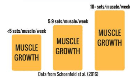 how many reps and sets to build muscle