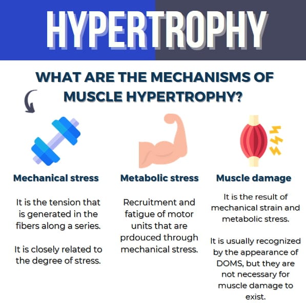 How Many Repetitions and Sets You Need to Increase Muscle Mass