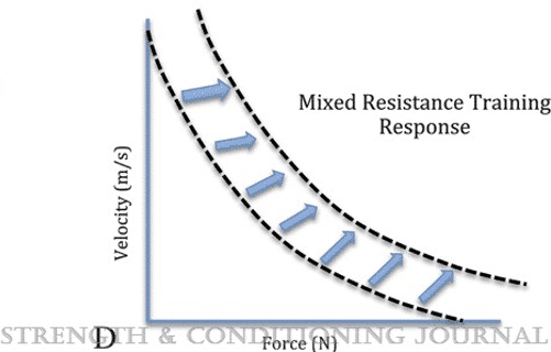 How Is The Force-Velocity Curve Affected By Muscular Strength Training ...