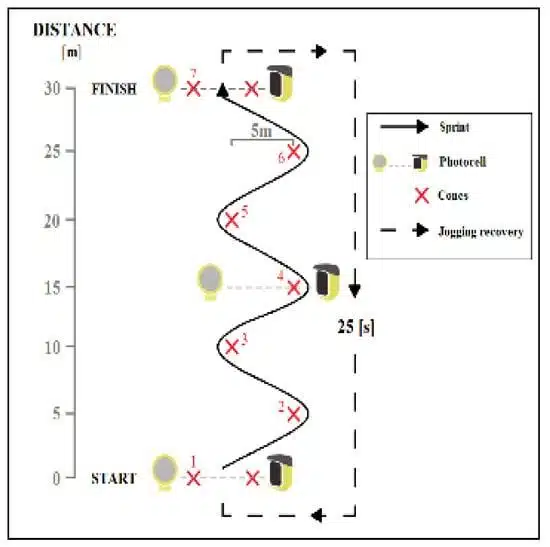 Sprint repeated test involving changes of direction. Image extracted from: (Baranovič & Zemková, 2021)