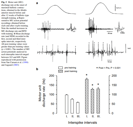 Gráfico

Descripción generada automáticamente