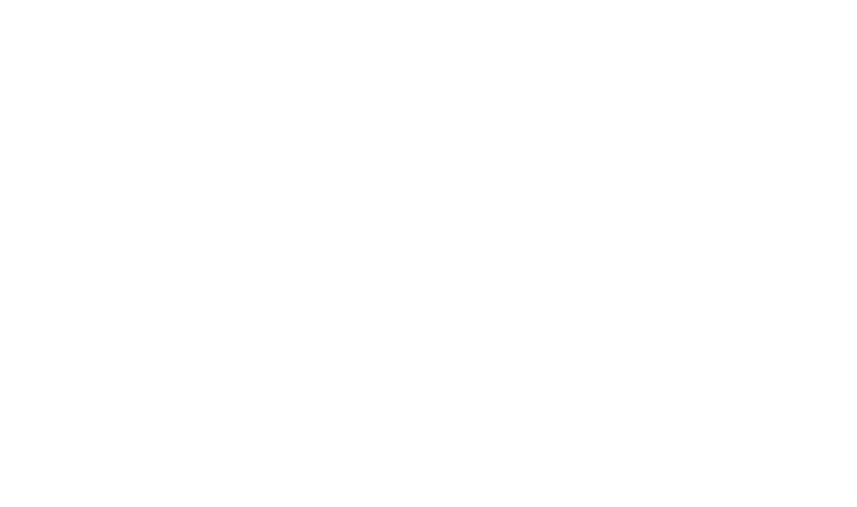 Vitruve Logo